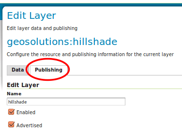 ../../../../_images/raster_hillshade_publishing.png